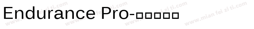 Endurance Pro字体转换
